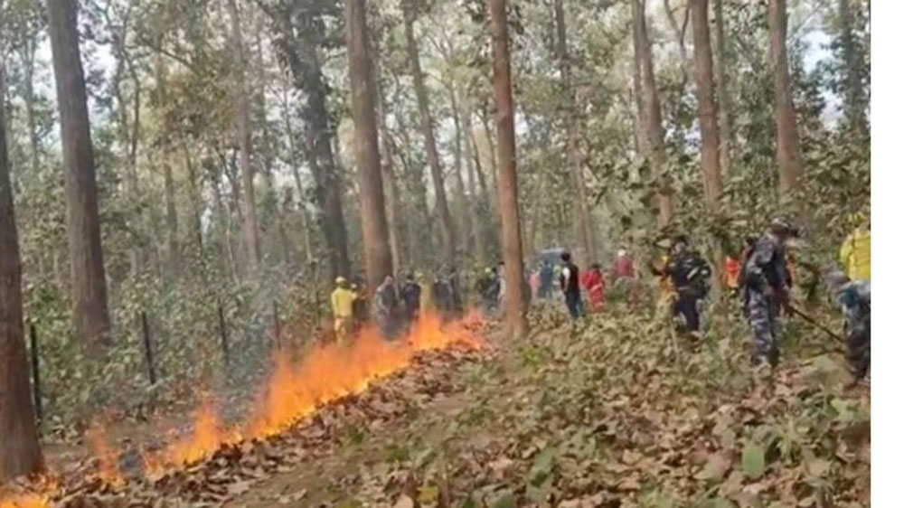 औसतभन्दा बढी वर्षासँगै वन डढेलोमा उल्लेख्य गिरावट